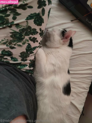 sugar_glider69 [ sugar-glider69 ] - Hi
