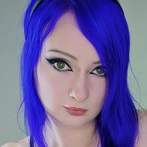 Alexx Arctophile