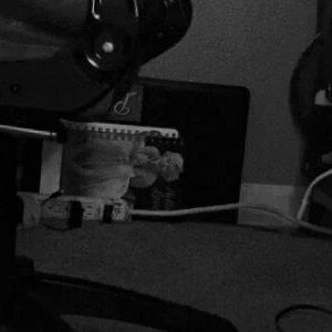 Lisa del Piero