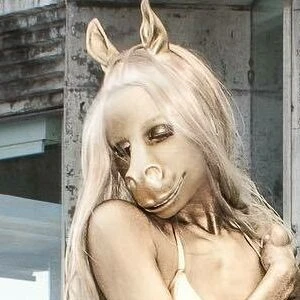 HorsegiirL