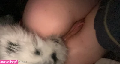  [ doebew ] - Dick Ratings