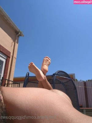 bigpuppaws - Here are 40 images that I think you ll all enjoy from my  Wild Beach
