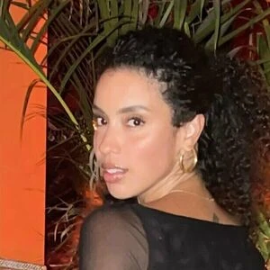 santinihoudini