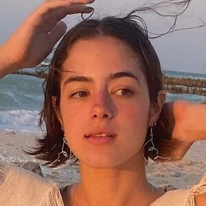 oliviavtrans