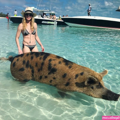 Caity Lotz [ caity-lotz ] - Feliz dia dos namorados para todos vcs meus namorados aqui do Only