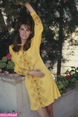 Raquel Welch [ raquel-welch ] - Les gustaría verme con mi nueva lencería