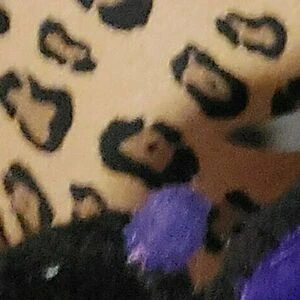 kittenjay90