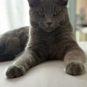 naughtiestgal