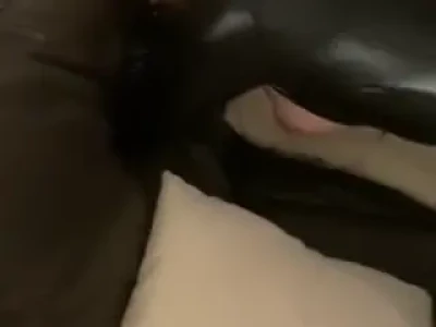 louisefabs - You guys know how I feel about mornings