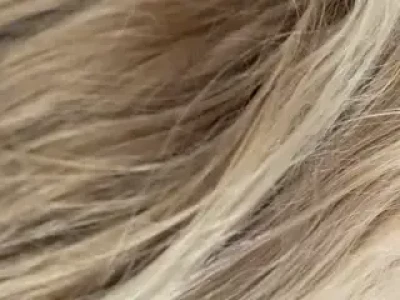 louisefabs - with or without