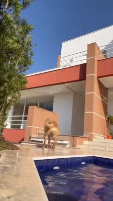 Camilota Xp [ camilota-xp ] - Sikimi mutlu edeceksiniz kızlar  O şehvetli dudaklarınızla sikimi