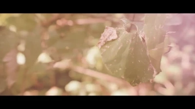 Skyhook Suicide [ skyhook-suicide ] - Have the best Friday
