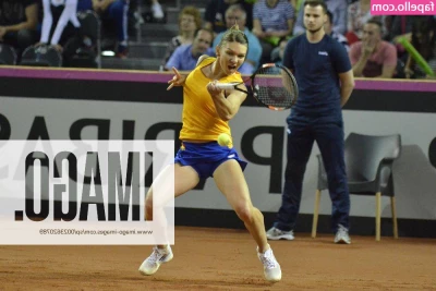 Simona Halep [ simona-halep ] - Public daddy showoff