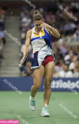Simona Halep [ simona-halep ] - ส งในแชทไม ได  ไม ร ทำไม