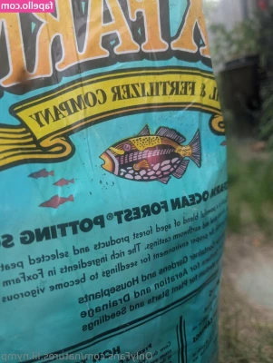 natures.lil.nymp [ natures-lil-nymp ] - haven t uploaded in a while  i missed sucking dick and getting fucked