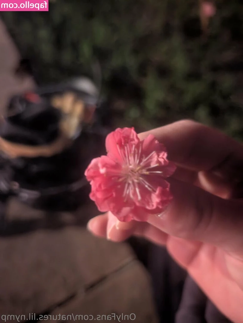 natures.lil.nymp [ natures-lil-nymp ] - Helloo i am on right now !!