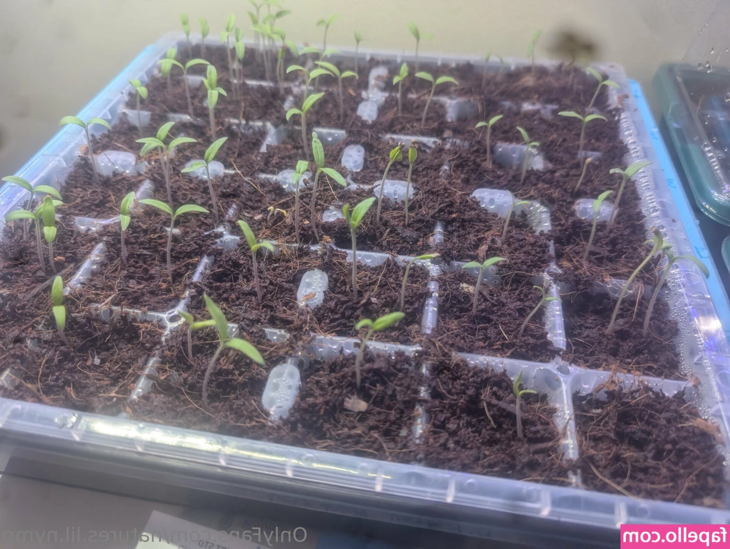 natures.lil.nymp [ natures-lil-nymp ] - Found this  whoops I made a big mess