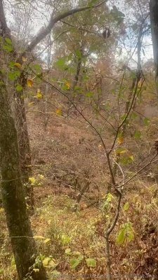 Therealprincesstiabeanie - What do you mean you re neck deep in debt  unable to pay bills and