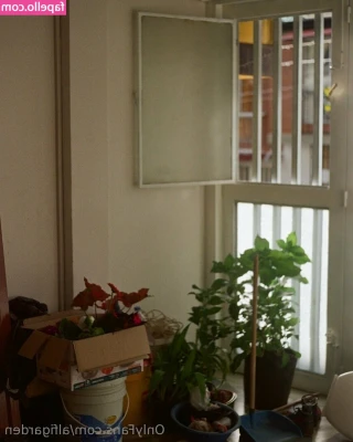 alfigarden - IM BAACCCKKK!