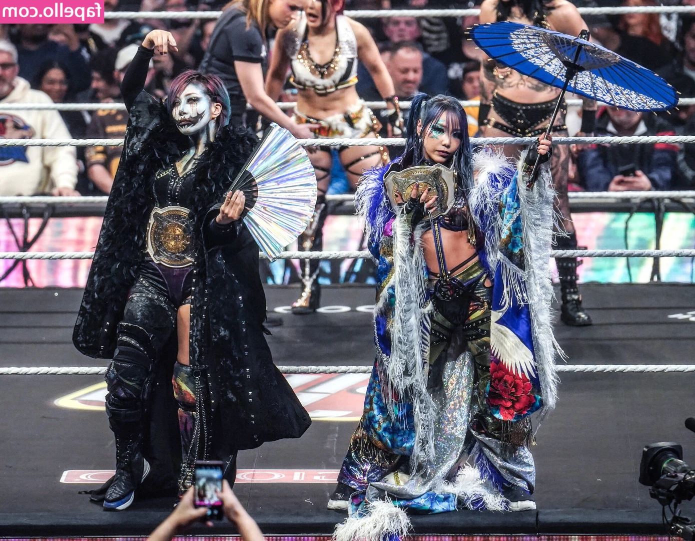Asuka WWE [ asuka-wwe ] - Some things I was able to sneak in
