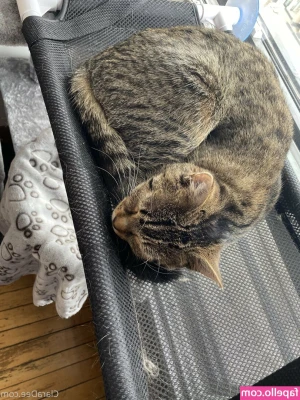 clara_dee [ clara-dee-1 ] - Worship. If you treat my feel well, then perhaps I'll allow you to