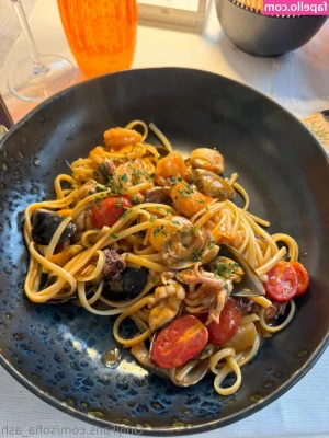 sofia_ash [ sofia-ash ] - Since there's a few new Cucks in chat here's a cucky JOI video!