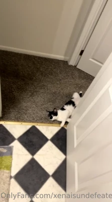 anexcks - A titty Tuesday morning shot I never shared 😉