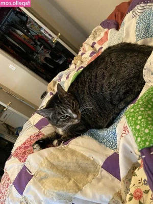 awkotacogf - You like to watch it bounce? 😛