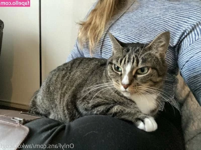 awkotacogf - Rescuing animals is sexy
