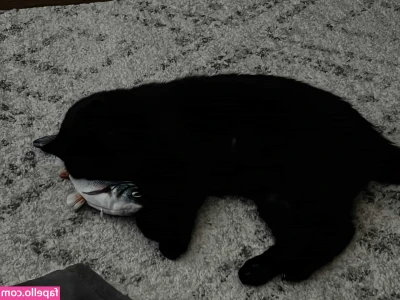 fairypuppie - Hey loves, I’ve been pretty busy with other work lately that I