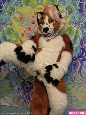 fox_anatomy [ fox-anatomy ] - Do you like me in white!?😜