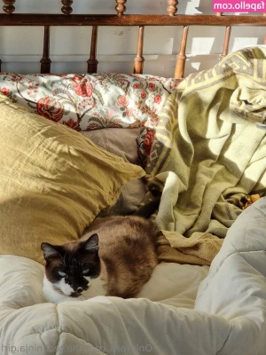 the.real.ninja.girl [ the-real-ninja-girl ] - Happy friday