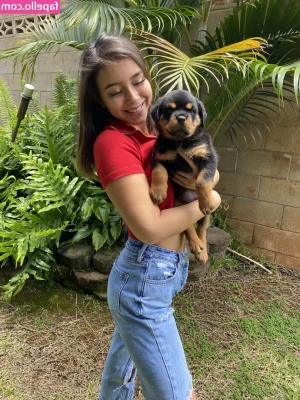Trinity Kamalei [ trinity-kamalei ] - Bottom to top