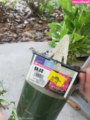 bee88i - 𝘍𝘰𝘳𝘨𝘪𝘷𝘦 𝘮𝘦 𝘧𝘢𝘵𝘩𝘦𝘳