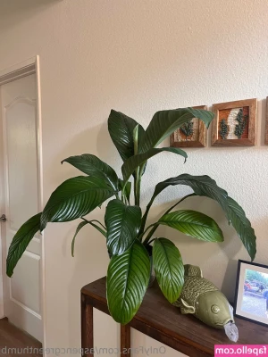 aspencgreenthumb - Hope everyone woke up like I did this morning 😍
