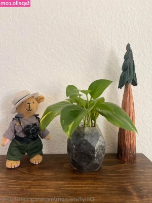 aspencgreenthumb - $110 left for my Goal! I never thought I would get close to reaching