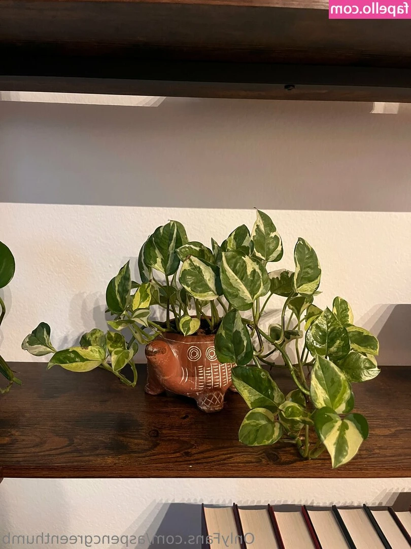 aspencgreenthumb - yours for the taking 💗