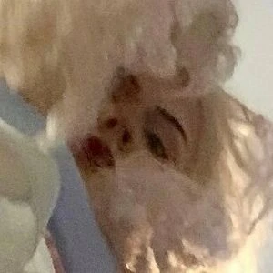 kushexoticafree