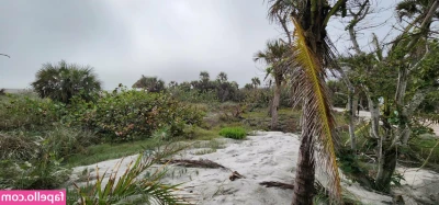 alex.alaina.after.dark [ alex-alaina-after-dark-1 ] - Do you like nylons with that kind of tip on the toe?😏