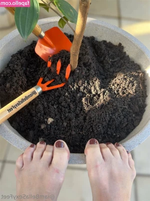 iambellasexyfeet - but maybe it looks better off