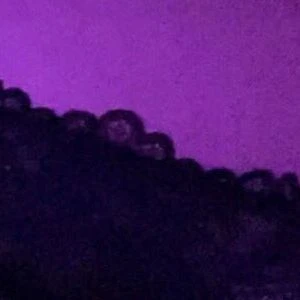 nihsfw