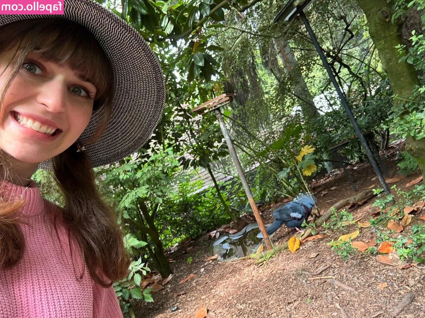 LaurieWired - Shall I GO LIVE THIS WEEK??!