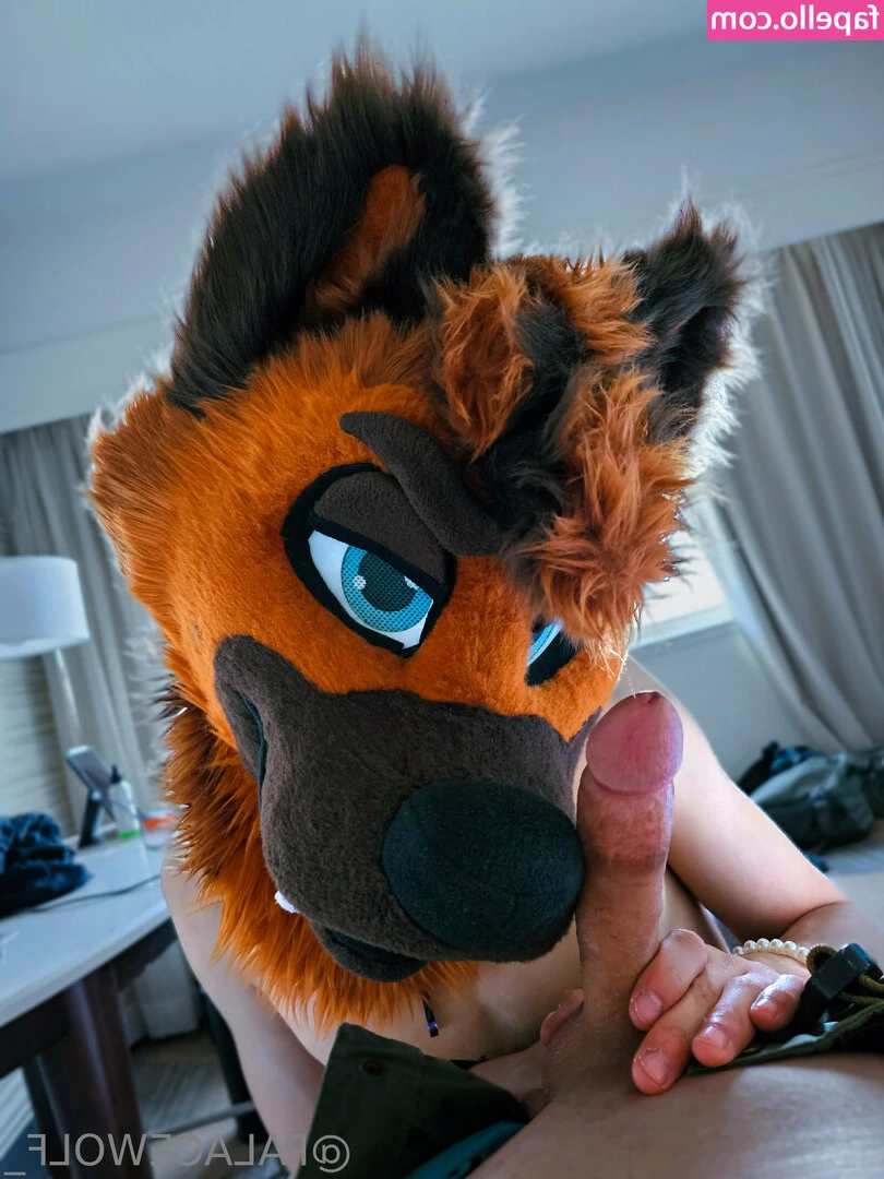 palacewolf - Do you prefer boobs or bum