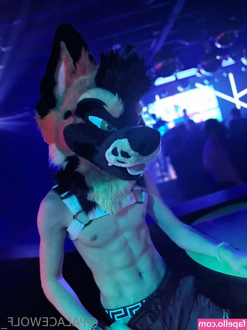 palacewolf - Like if you think these panties look cute