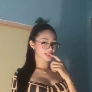 Minervadenisefox