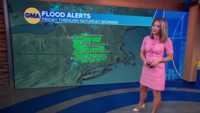 Hot News Weather Babes [ hot-news-weather-babes ] - The jugs are out