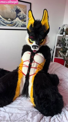 novaxcat - Hey babes. Happy Halloween to all my fans. Today's treat is a nice