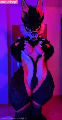 novaxcat - Making more content  right now   let me know if you wanna help
