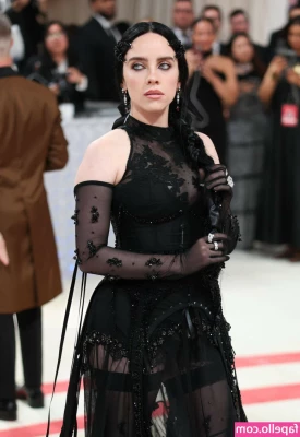 Billie Eilish [ billie-eilish ] - The question is what really happened in the club toilet