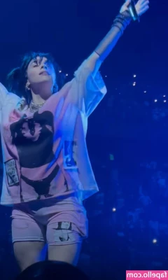 Billie Eilish [ billie-eilish ] - Are you a boob guy   I definitely have what you re looking for